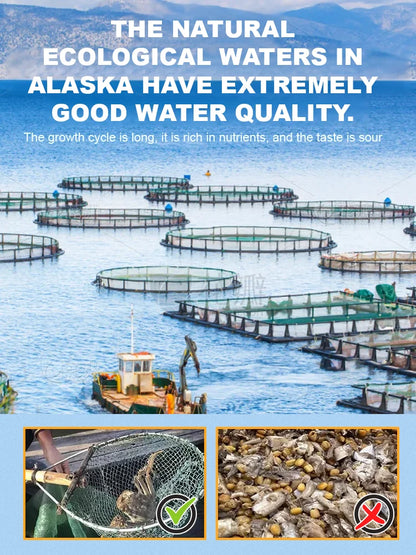 Alaskan Snow Crab Ready-to-EatCrispy Crab-Paul