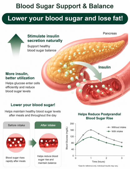 🍒Dried Sour Cherry Snacks, Natural Pitted Fruit Treats-Paul